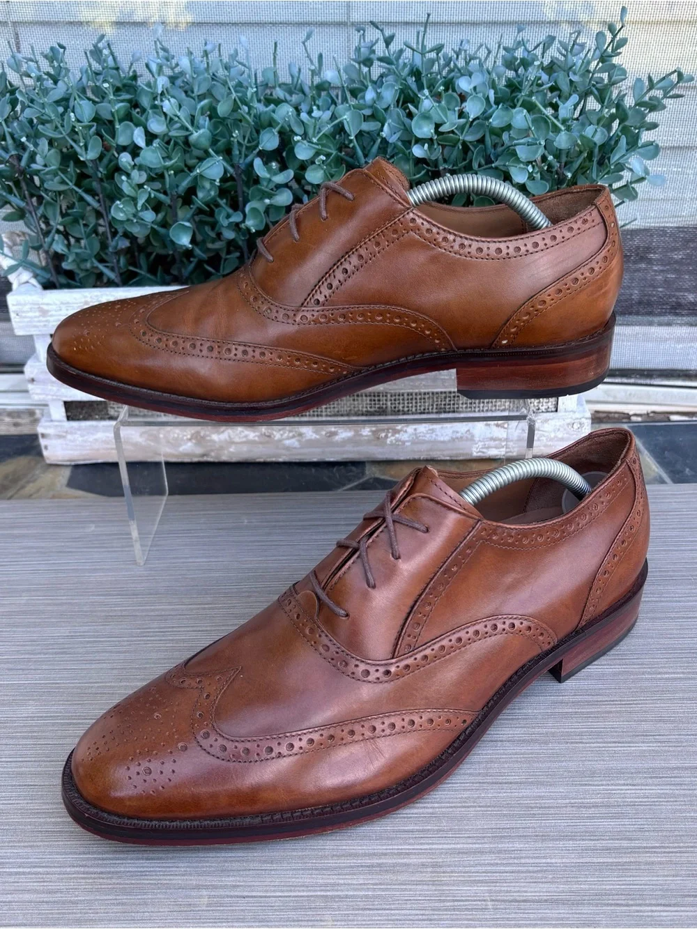 COLE HAAN Cambridge Wingtip Oxfords